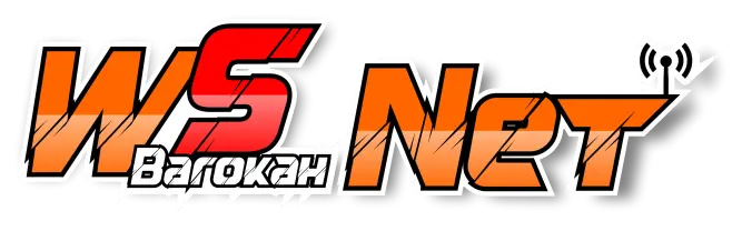 WSB-NET
